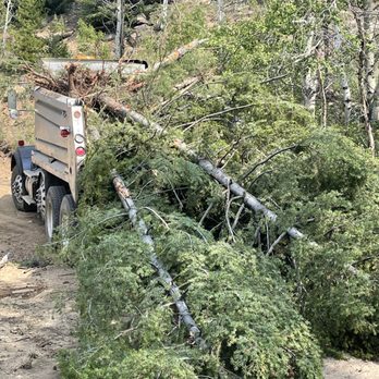 Tree and brush clearing as part of ACME Asphalt site preparation work